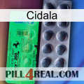 Cidala new04